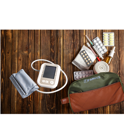 TRAVO Mehendi Green- Premium Multipurpose Pouch